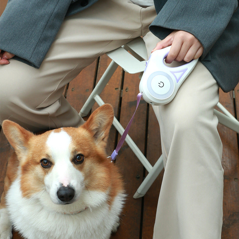 Retractable Dog Leash with Collar – Spotlight Automatic Traction Rope